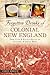 Forgotten Drinks of Colonial New England: From Flips & Rattle-Skulls to Switchel & Spruce Beer (American Palate)