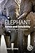 Elephant Sense and Sensibility