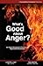 What's Good About Anger?: An Anger Management Course with Application Devotionals