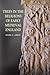 Trees in the Religions of Early Medieval England (Anglo-Saxon Studies, 26)