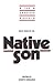 New Essays on Native Son (T...
