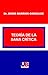 Teoria de la Sana Critica