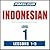 Pimsleur Indonesian Level 1...