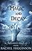 Magic and Decay by Rachel Higginson