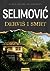 Derviš i smrt by Meša Selimović