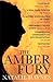 The Amber Fury by Natalie Haynes