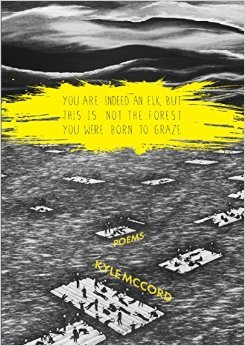 You Are Indeed an Elk, But This is Not The Forest You Were Born to Graze (Paperback)