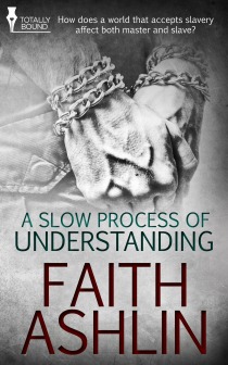 A Slow Process of Understanding (Kindle Edition)