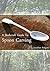 A Bushcraft Guide To Spoon ...