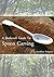 A Bushcraft Guide To Spoon ...