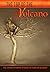 The Top of the Volcano: The Award-Winning Stories of Harlan Ellison