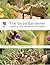 The Good Gardener: A Hands-...