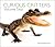 Curious Critters Volume Two by David FitzSimmons