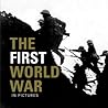 The First World War (In Pictures)