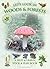 Let's Look in Woods & Forests: A Spot & Learn, Stick & Play Book