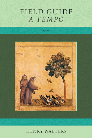Field Guide A Tempo (Paperback)