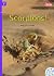 Scorpions (Rainbow Readers ...