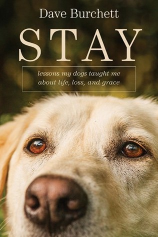 pdf download Stay: Lessons My Dogs Taught Me about Life, Loss, and Grace