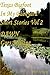Texas Bigfoot In My Backyard Short Stories Vol. 2: DAWN Goes Missing