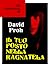 Il tuo posto nella ragnatela