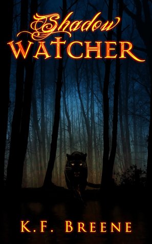 Shadow Watcher (Darkness, #6)