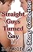 Straight Guys Turned Gay Vol 1 Collection by B.J. Wolfe
