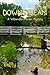 Downstream: A Witherston Murder Mystery