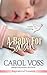 A Baby for Sarah (Noah's Crossing, #5)
