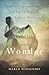 Wrestling With Wonder: A Transformational Journey through the Life of Mary