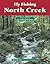 Fly Fishing North Creek: An...