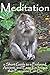Meditation: a Short Guide t...