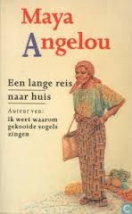 Een lange reis naar huis : een autobiografische roman