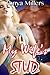 My Wife's Stud BUNDLE (Interracial Cuckold Menage Romance)