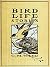 Bird Life Stories