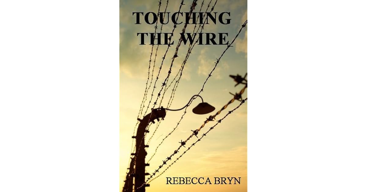 Touching The Wire By Rebecca Bryn