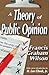 A Theory of Public Opinion