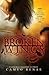 Broken Wings (Hidden Wings, #2)