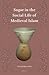 Sugar in the Social Life of Medieval Islam (Islamic Area Studies, 1)