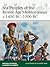 Sea Peoples of the Bronze Age Mediterranean c.1400 BC–1000 BC by Raffaele D'Amato