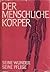 Der menschliche Körper: Sei...