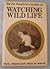 David Stephen's Guide to Watching Wild Life