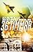 36 timmar by David  Bergman