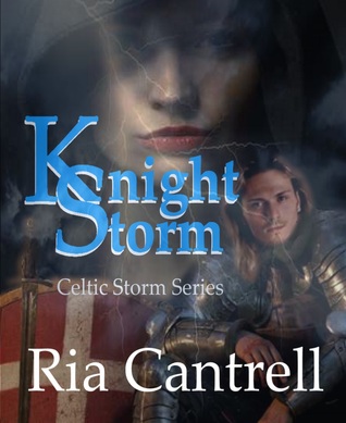 KNIGHT STORM (Kindle Edition)