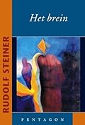 Het Brein
