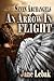 An Arrow In Flight by Jane Lebak