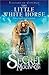 The Little White Horse by Elizabeth Goudge