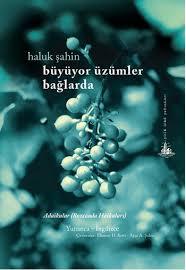 Büyüyor Üzümler Bağlarda (Paperback)