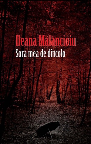 Sora mea de dincolo (Paperback)