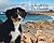 A Beach Day for Hannah (Mountain Dog Books)