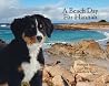 A Beach Day for Hannah (Mountain Dog Books) A Beach Day for Hannah (Mountain Dog Books)